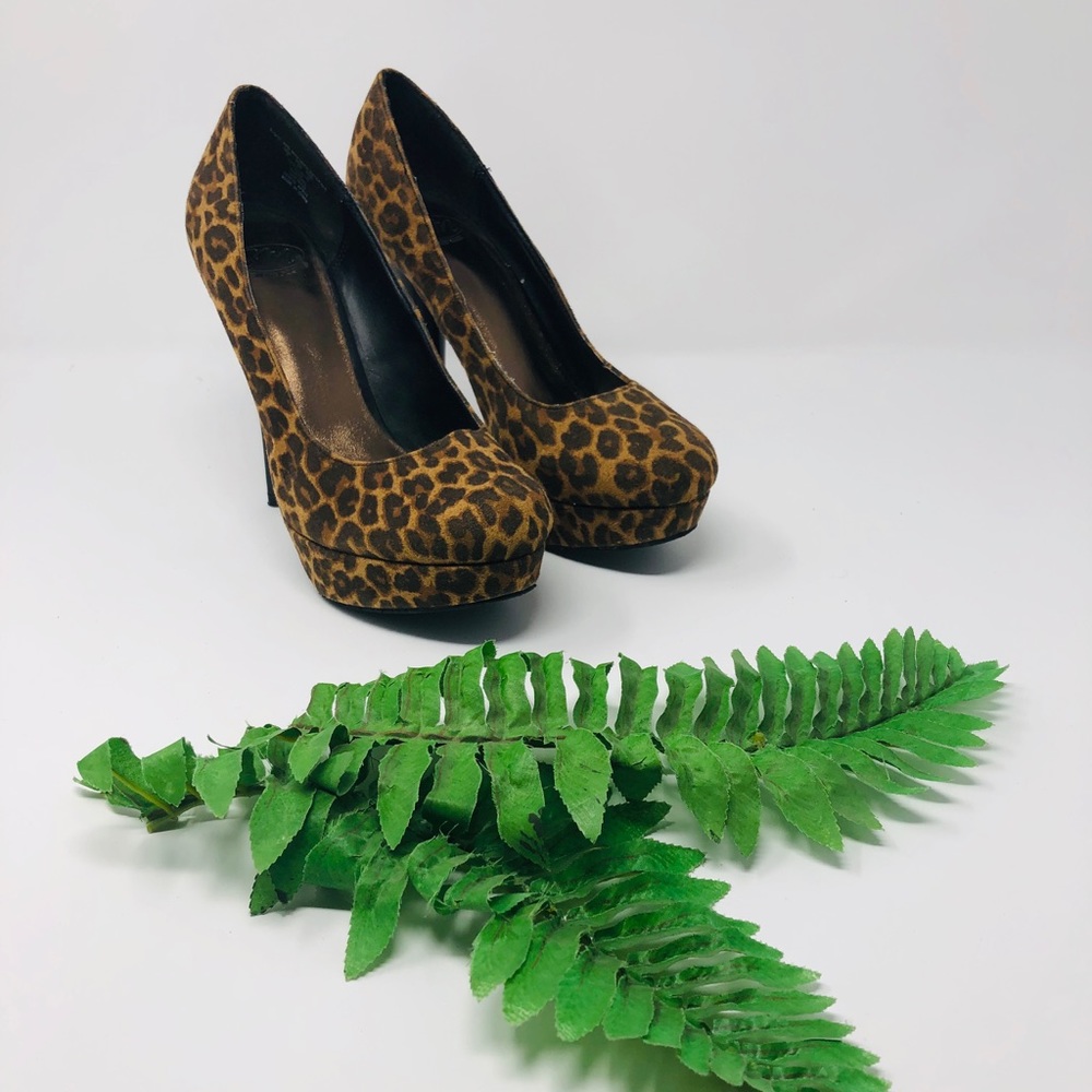 “SM NewYork” Cheetah Print Heels💛🐾
